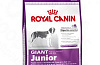 Royal Canin GIANT JUNIOR