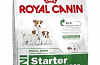 Royal Canin Mini Starter Сухой корм Роял Канин Мини Стартер